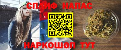 стафф Кандалакша