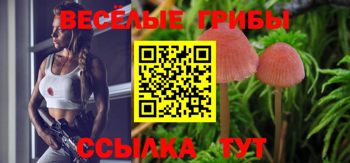 Псилоцибиновые грибы мицелий Кумертау