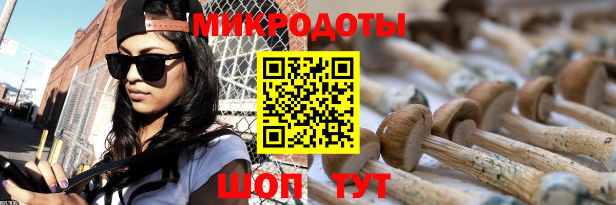 Галлюциногенные грибы MAGIC MUSHROOMS  Вход с VPN  Кумертау 
